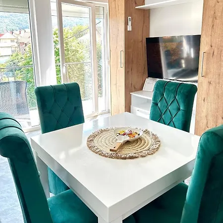 Viny Apartment Sokobanja